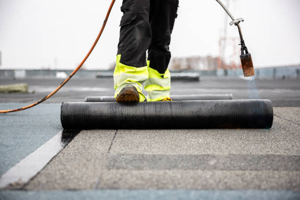 Best Roof Ventilation Installation  in Gleneagle, CO