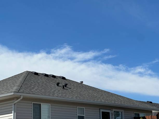 Best Gutter Installation and Repair  in Gleneagle, CO